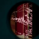 成都旅游 缩略图 1
