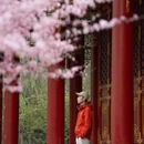 成都旅游 缩略图 3