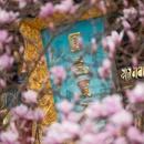 成都旅游 缩略图 4
