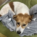 成都旅游 缩略图 2