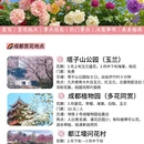 成都旅游 缩略图 4