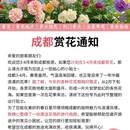 成都旅游 缩略图 1