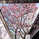 苏州旅游 缩略图 1