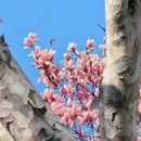 苏州旅游 缩略图 9