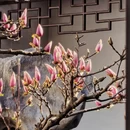 苏州旅游 缩略图 4
