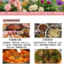 成都旅游 缩略图 9