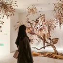 成都旅游 缩略图 3