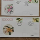 成都旅游 缩略图 5