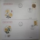 成都旅游 缩略图 8
