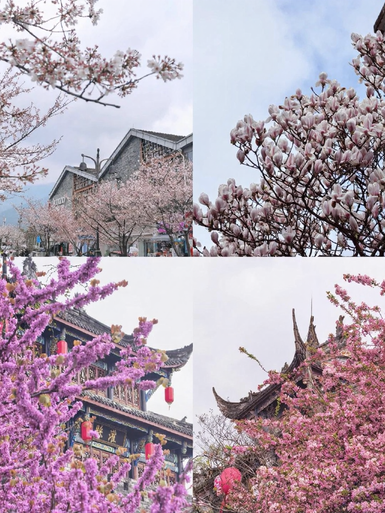 成都旅游