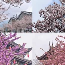 成都旅游 缩略图 1