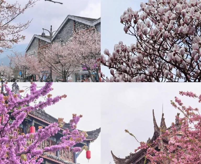成都旅游 1