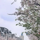 成都旅游 缩略图 3