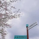 成都旅游 缩略图 5