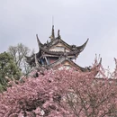 成都旅游 缩略图 8