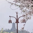 成都旅游 缩略图 4