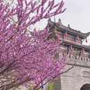 成都旅游 缩略图 16