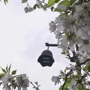 成都旅游 缩略图 15