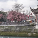 成都旅游 缩略图 18