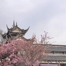 成都旅游 缩略图 17