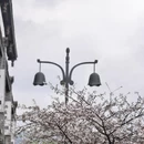 成都旅游 缩略图 14