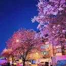 成都旅游 缩略图 12