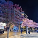 成都旅游 缩略图 15