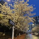 苏州旅游 缩略图 1