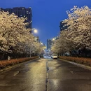 苏州旅游 缩略图 3
