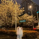 苏州旅游 缩略图 6