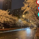 苏州旅游 缩略图 5