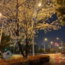 苏州旅游 缩略图 8