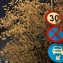 苏州旅游 缩略图 9
