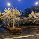 苏州旅游 缩略图 7