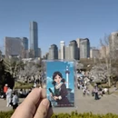 大连旅游 缩略图 5