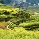 大连旅游 缩略图 1