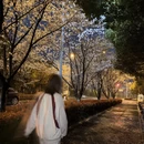 苏州旅游 缩略图 4