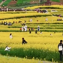 大连旅游 缩略图 2