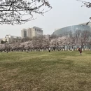 北京旅游 缩略图 2
