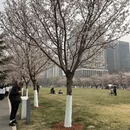 北京旅游 缩略图 1
