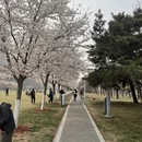 北京旅游 缩略图 5