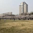 北京旅游 缩略图 4