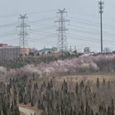 大连旅游 缩略图 5