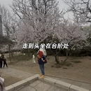 大连旅游 缩略图 9