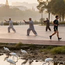 大连旅游 缩略图 4