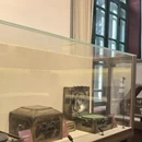 大连旅游 缩略图 3