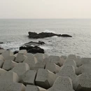 青岛旅游 缩略图 2