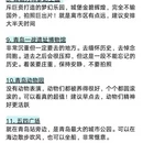 青岛旅游 缩略图 3