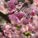 北京旅游 缩略图 6