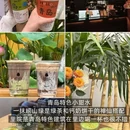 青岛旅游 缩略图 5